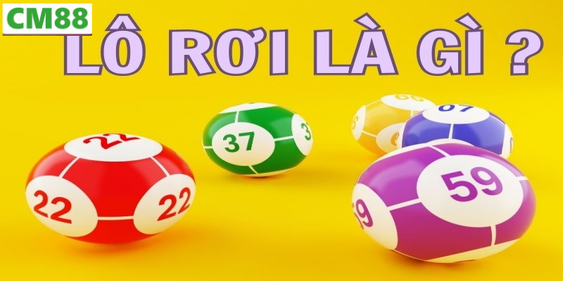 Các loại lô thường gặp