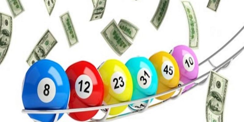 Giới thiệu tổng quan về nuôi lô khung